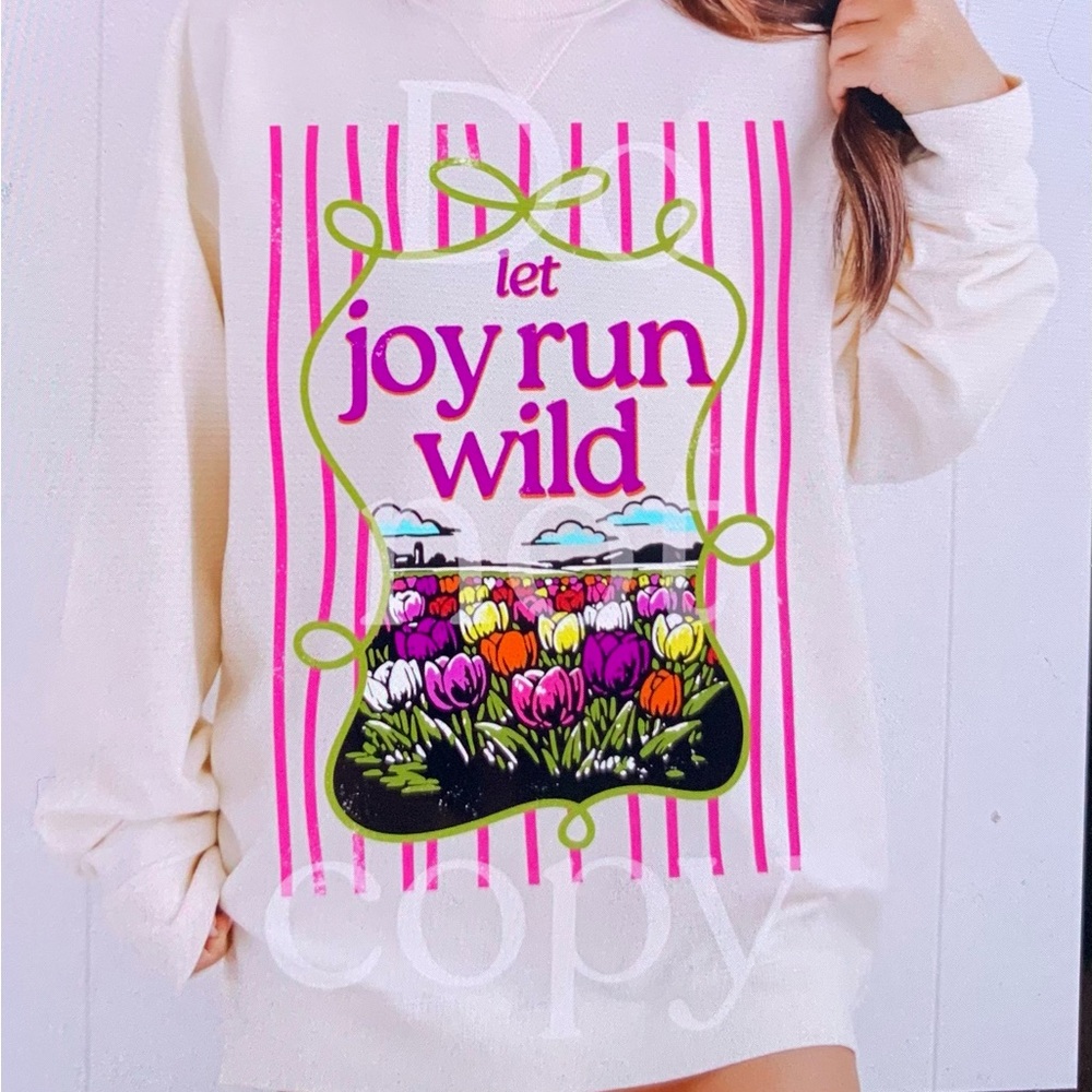 Let Joy Run Wild Graphic Sweatshirt - Small-3X